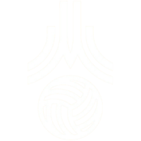 Former team badge icon