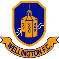 Wellington badge