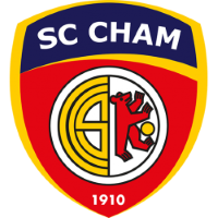 Team Badge