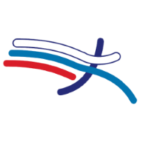 Former team badge icon