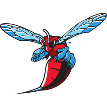 Team Badge