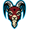 tiny home badge icon