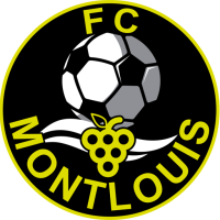 Team Badge