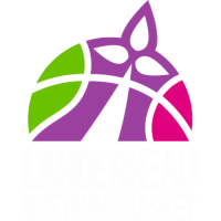 Former team badge icon