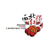 Former team badge icon