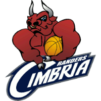 Former team badge icon