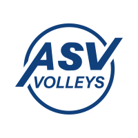 Former team badge icon