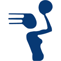 Former team badge icon