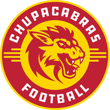 Team Badge