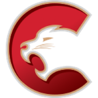 Former team badge icon