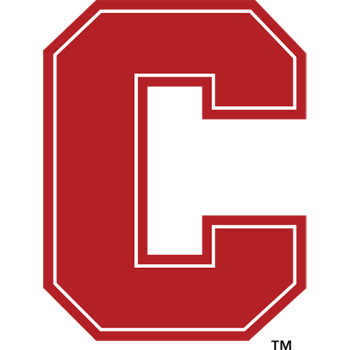 Team Badge