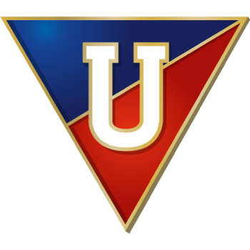 Team Badge
