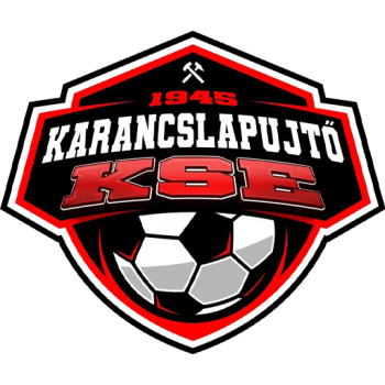 Team Badge