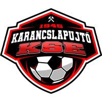 Team Badge icon