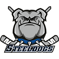 Former team badge icon