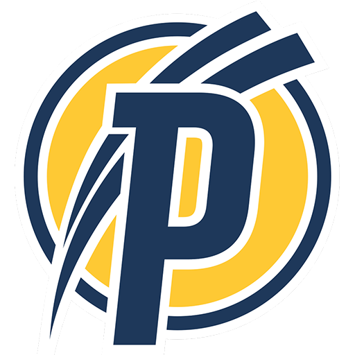 Puskás Akadémia II