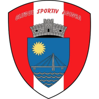 Team Badge