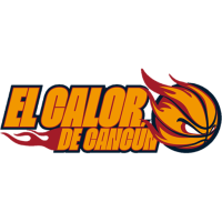 Former team badge icon