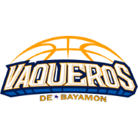 Former team badge icon