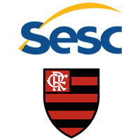 Former team badge icon