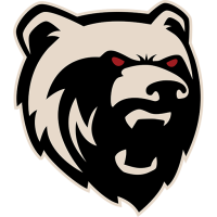 Former team badge icon