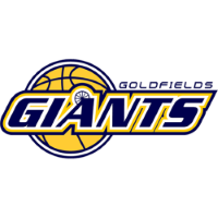 Former team badge icon