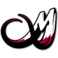 Team Badge