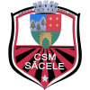 Săcele badge
