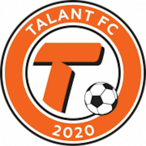 Team Badge icon