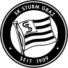 tiny home badge icon