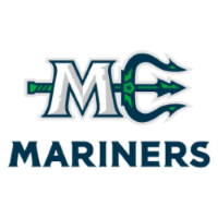 Former team badge icon