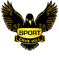 Team Badge