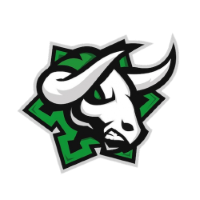 Former team badge icon