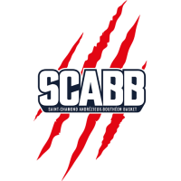 Former team badge icon