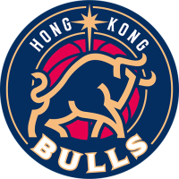 Former team badge icon