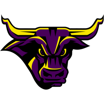 Team Badge