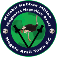 Team Badge