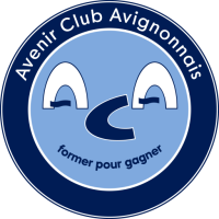 Former team badge icon