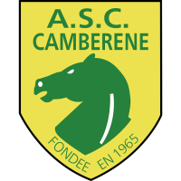 Team Badge