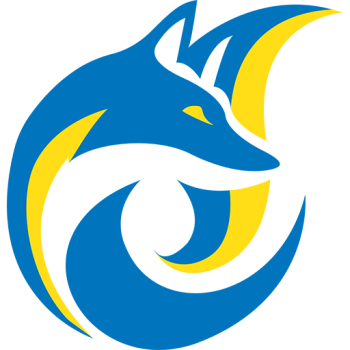 away team icon