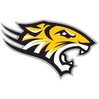 Former team badge icon