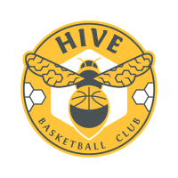 Former team badge icon