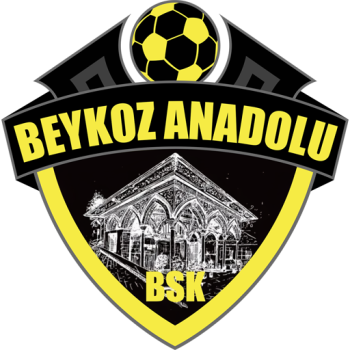 Team Badge