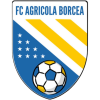 Agricola Borcea badge
