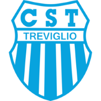 Former team badge icon