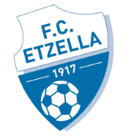 Former team badge icon