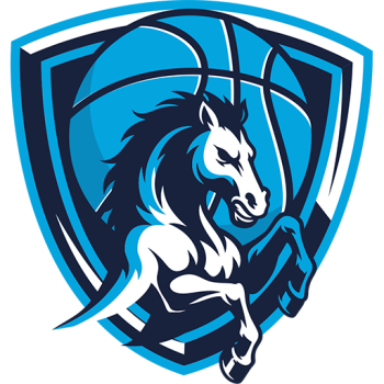 home team badge