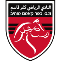 Team Badge