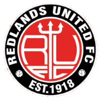 Former team badge icon
