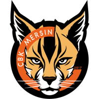 Former team badge icon